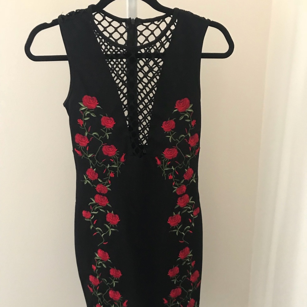 Brand new LF mesh rose dress